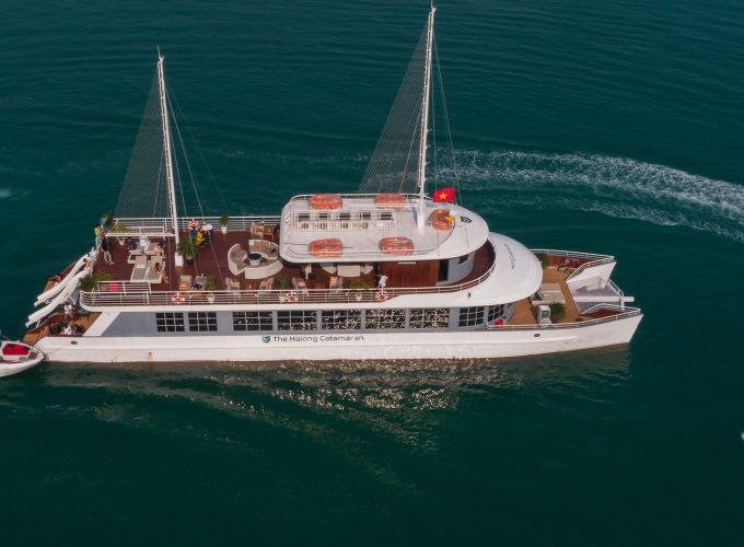 Oasis Bay Party cruise